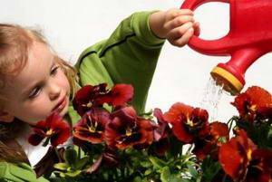 Цветы в детской комнате полезности и опасности