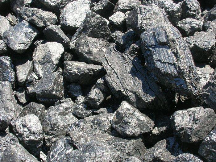 Уголь каменный свойства. Каменный уголь происхождение, добыча, цена