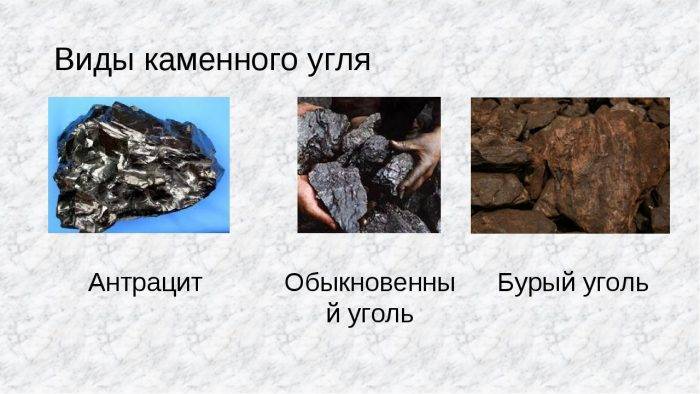 Уголь каменный свойства. Каменный уголь происхождение, добыча, цена