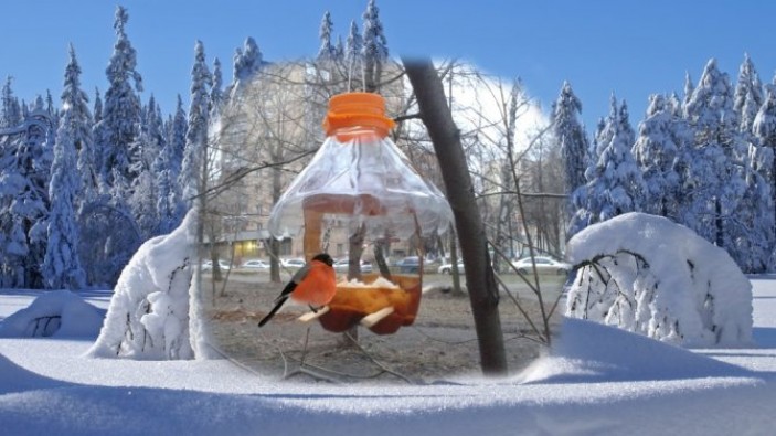 Как сделать оригинальную зимнюю кормушку для птиц из пластиковых бутылок?