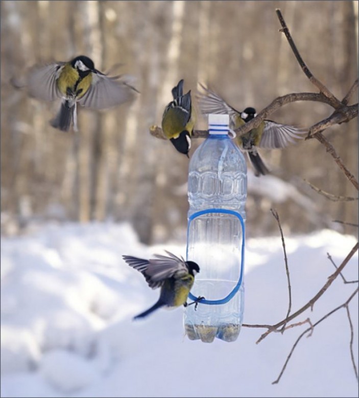 Как сделать оригинальную зимнюю кормушку для птиц из пластиковых бутылок?