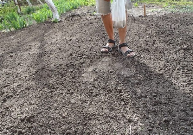 Пошаговая инструкция по осеннему посеву газона