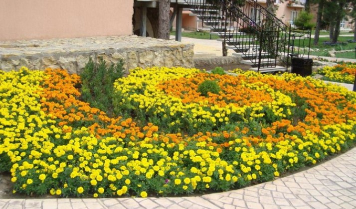 Монохромный сад с клумбами и миксбордерами в одном цвете