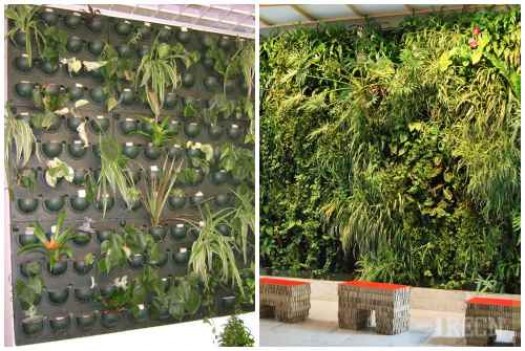Как необходимо ухаживать за модулем или стеной с растениями