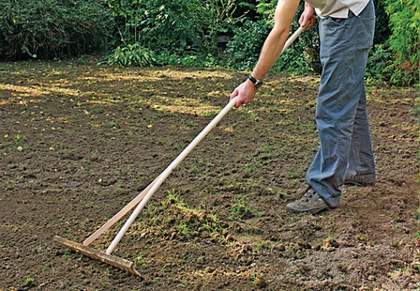 Пошаговая инструкция посева газонной травы