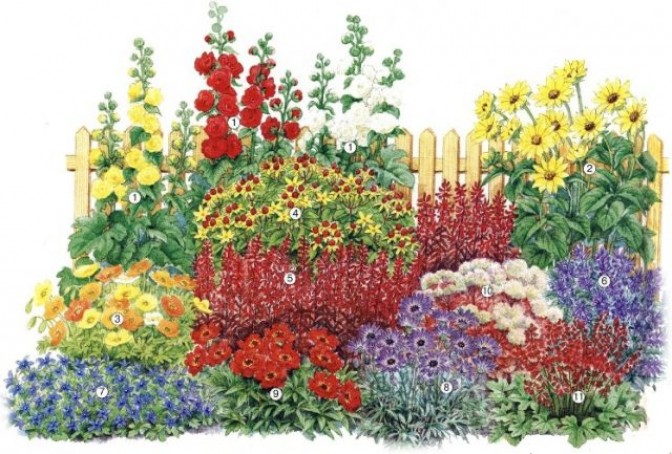 Как посадить цветы на клумбе, чтобы цвели все лето – схема расположения и сочетание по цветам