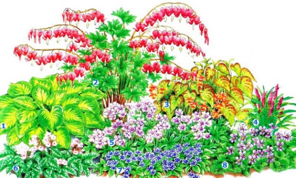 Как посадить цветы на клумбе, чтобы цвели все лето – схема расположения и сочетание по цветам