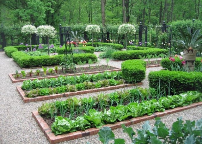 Преимущества и недостатки огорода в ландшафтном дизайне