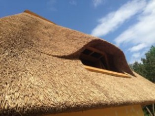 Крыша из камыша: стильно, надежно и оригинально