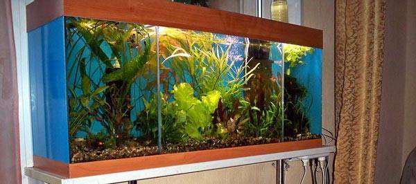 Выбор аквариума в детскую комнату для ребёнка
