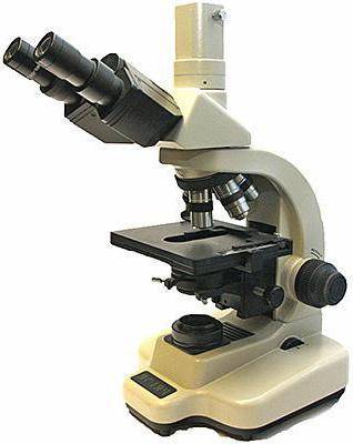 Выбираем первый детский микроскоп