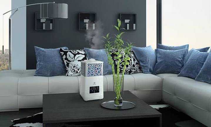 Как выбрать увлажнитель воздуха для квартиры: полезные советы и рекомендации