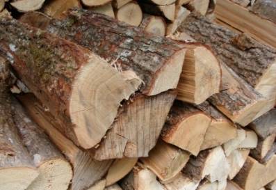 Какие дрова лучшие для топки печки разновидности и свойства дров, плюсы и минусы, способы хранения