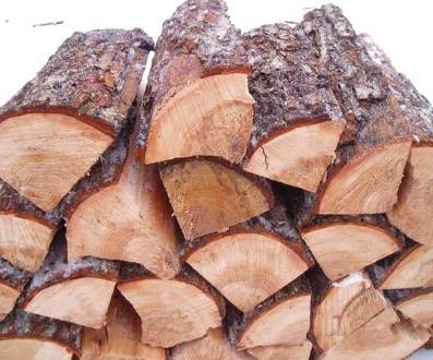 Какие дрова лучшие для топки печки разновидности и свойства дров, плюсы и минусы, способы хранения